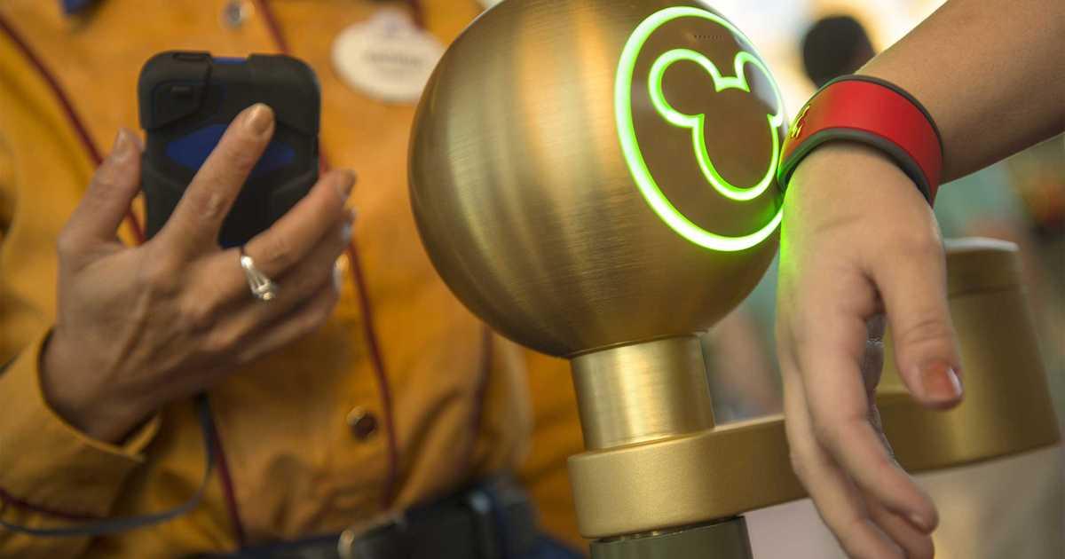 Person scanning their Disney magic band to enter the park