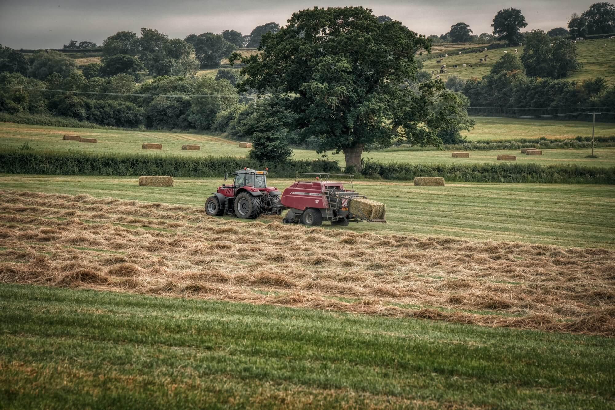 Tractor baling hay in a field.
